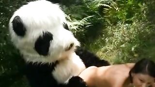 Panda posuwa młodą laskę w ogrodzie 